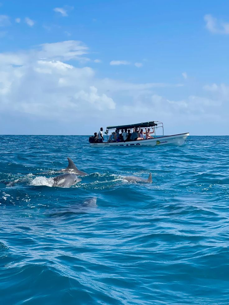 Watamu Marine Explorer